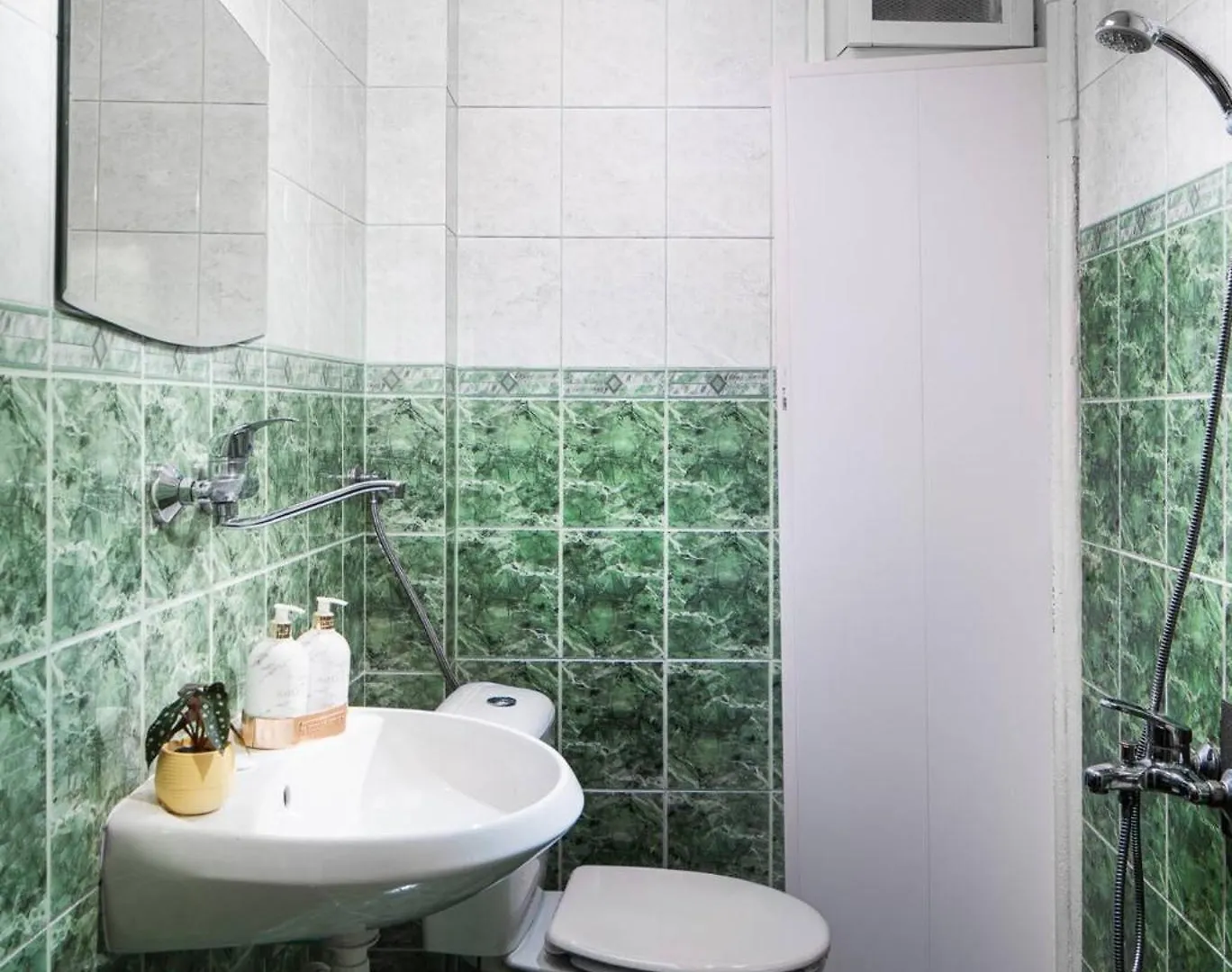Central And Spacious Home 소피아